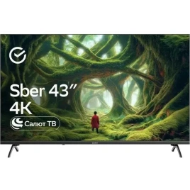 Телевизор Sber 43" LED 4K UHD Салют ТВ (SDX-43U5500DBA)