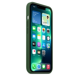Силиконовый чехол Apple MagSafe для iPhone 13 Pro Green Clover