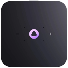 Умная колонка Яндекс Станция Миди с Zigbee Orange (YNDX-00054)