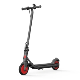 Электросамокат Ninebot KickScooter C20 Gray