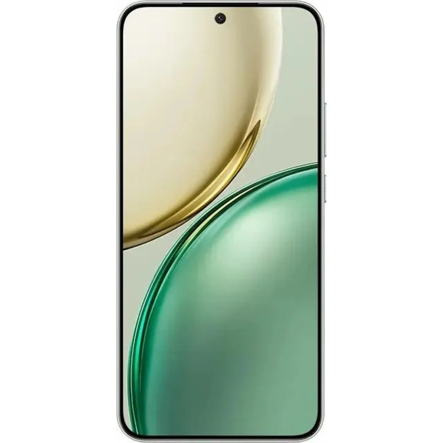 Смартфон Honor X9d 12/256Gb Forest Green фото 7