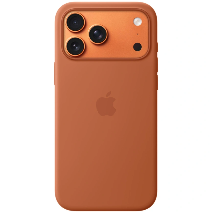 Чехол Apple Silicone Case with MagSafe для iPhone 17 Pro Terra Cotta фото 1