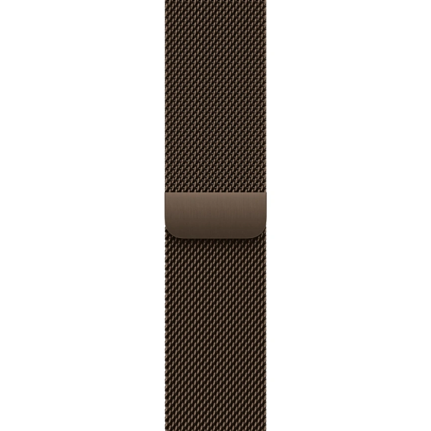Смарт-часы Apple Watch Series 12 46mm Natural Titanium Case with Dark Bronze Milanese Loop M/L фото 2