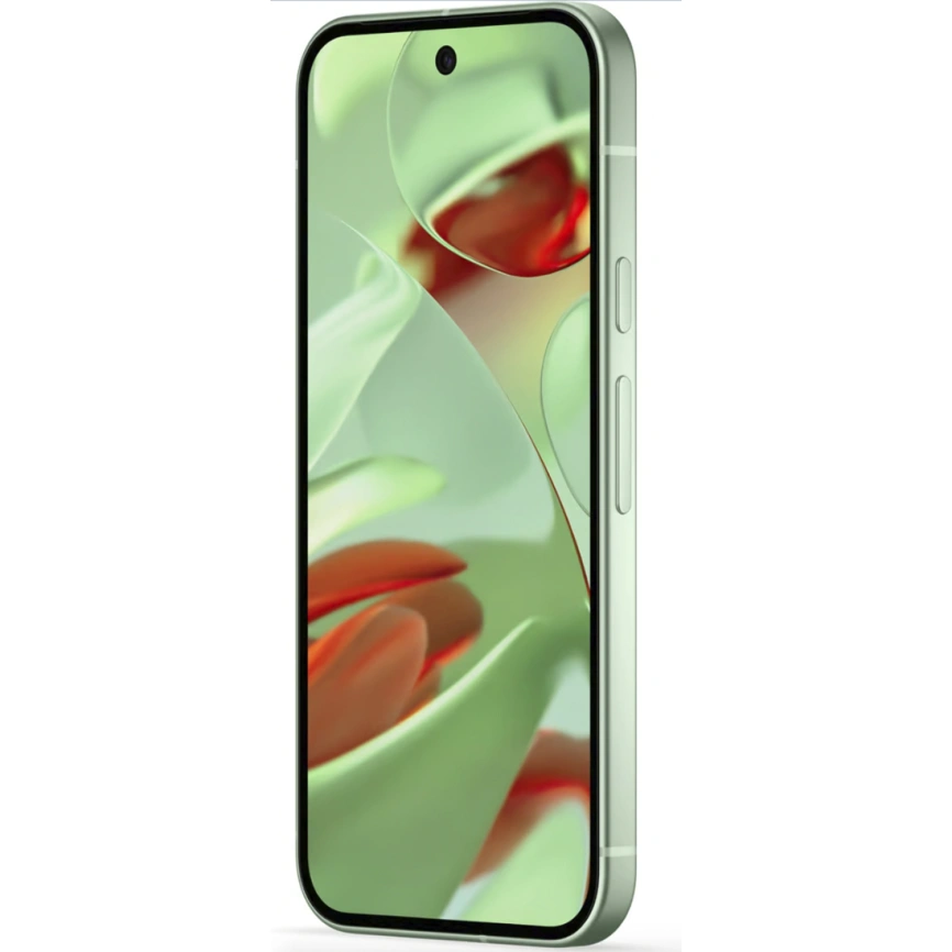 Смартфон Google Pixel 9 12/128Gb Wintergreen фото 6