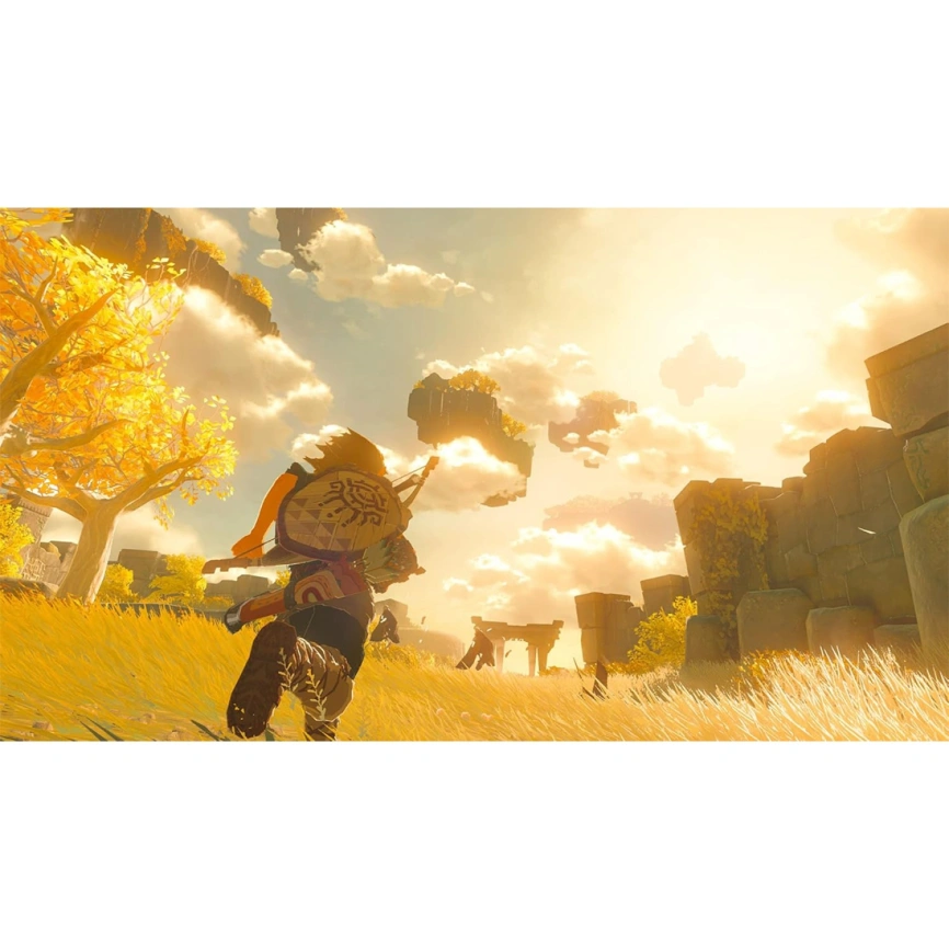 Игра Nintendo The Legend of Zelda: Tears of the Kingdom (Русская версия) (Nintendo Switch) фото 2