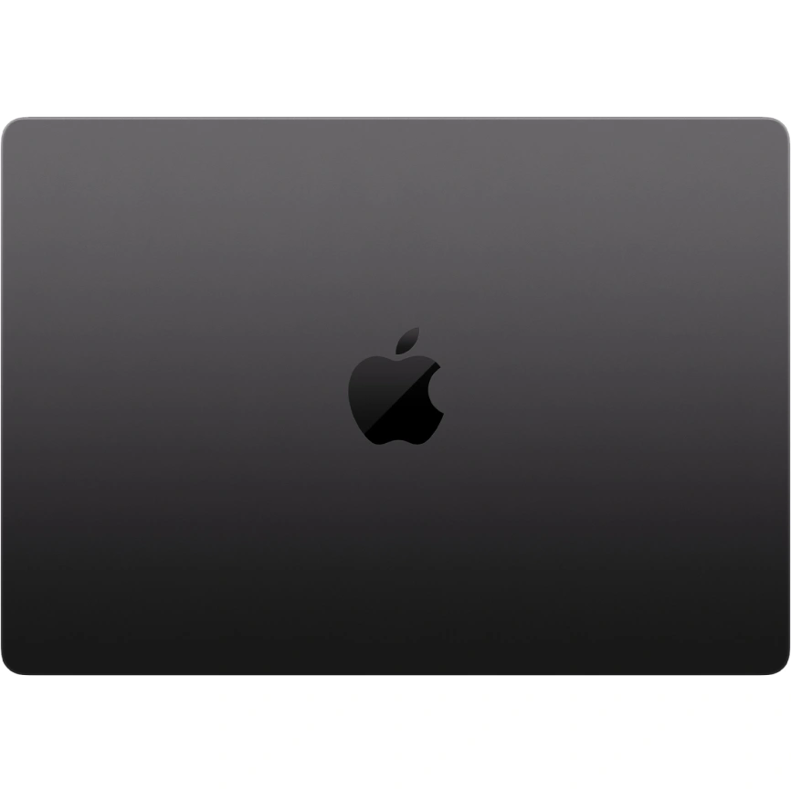 Ноутбук Apple MacBook Pro 14 (2024) M4 10c CPU, 10c GPU/16Gb/1Tb SSD (MW2V3) Space Black фото 2